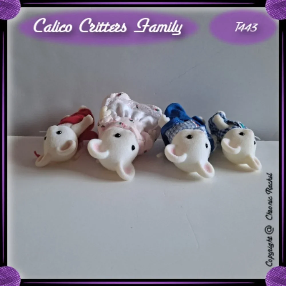 White Mouse Family